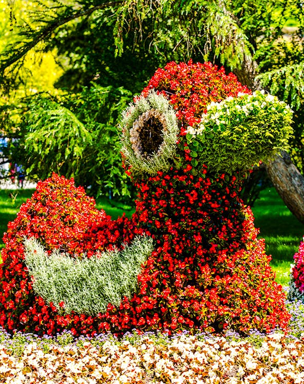 Floral sun sculpture and colorful flower beds at Mainau Flower Island.